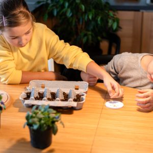 how to play minecraft education for free but no demo